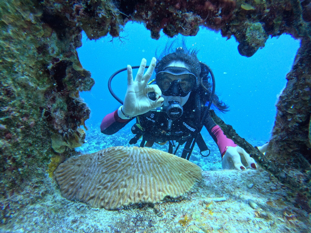 Varadero Diving Tour-Playa Larga必去景点