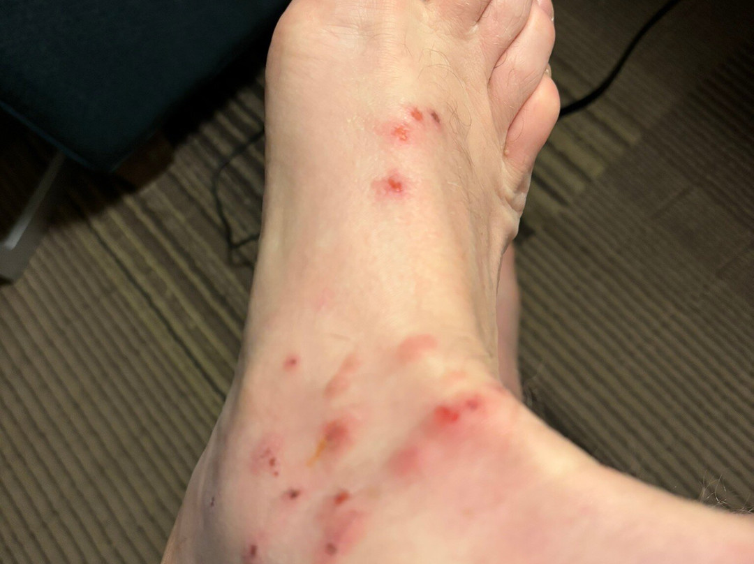 Pegasus Hotel Guyana主图