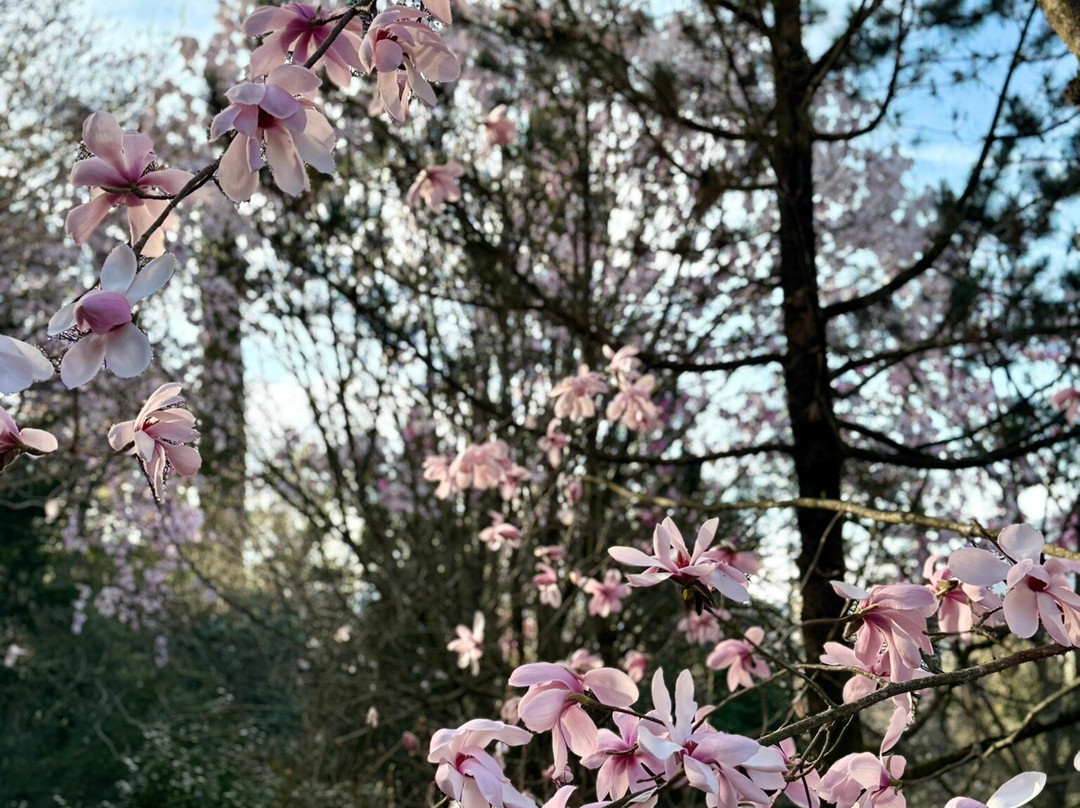 Parco Botanico del Gambaragno-San Nazzaro必去景点