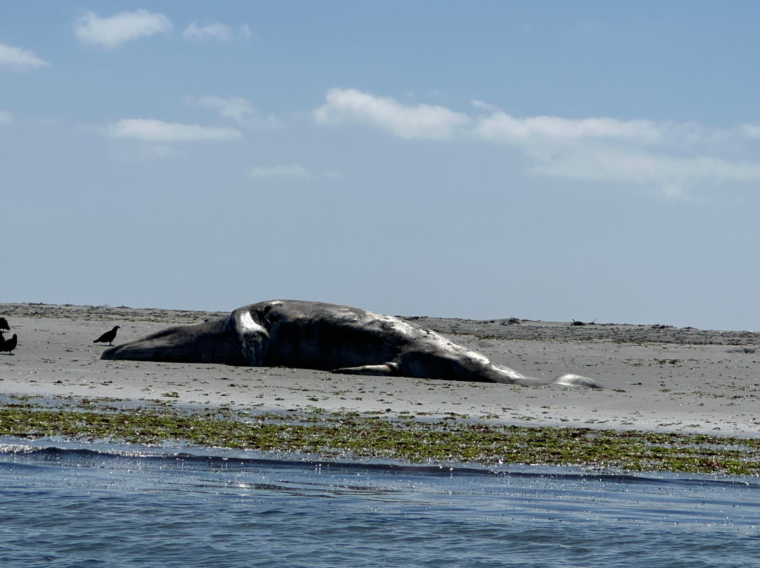 Ecoturismo Kuyima S.P.R. de R.L.主图