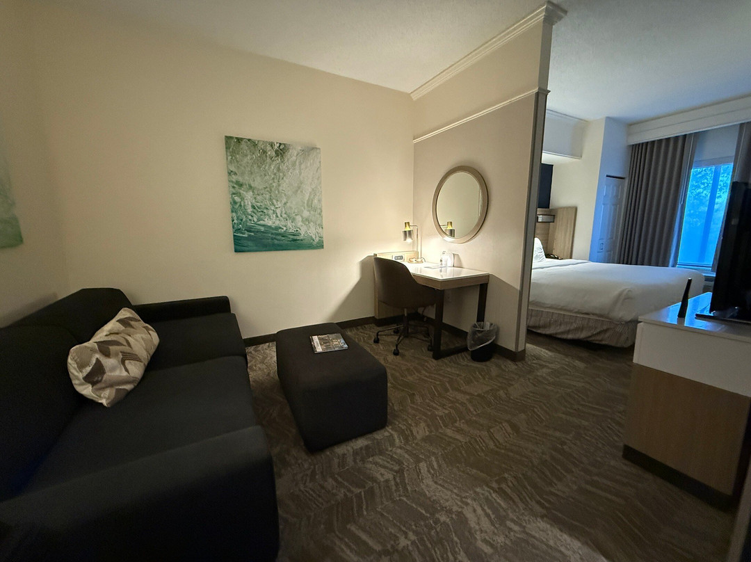 SpringHill Suites by Marriott Savannah I-95 South主图