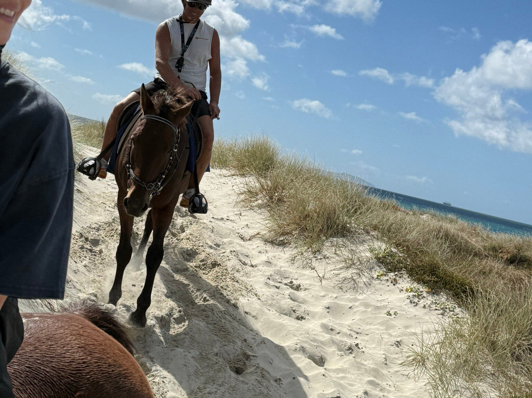 Waipu Horse Adventures-璜加雷必去景点