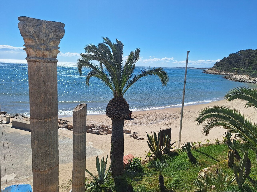Playa de la Punta d'en Guineu景点图片