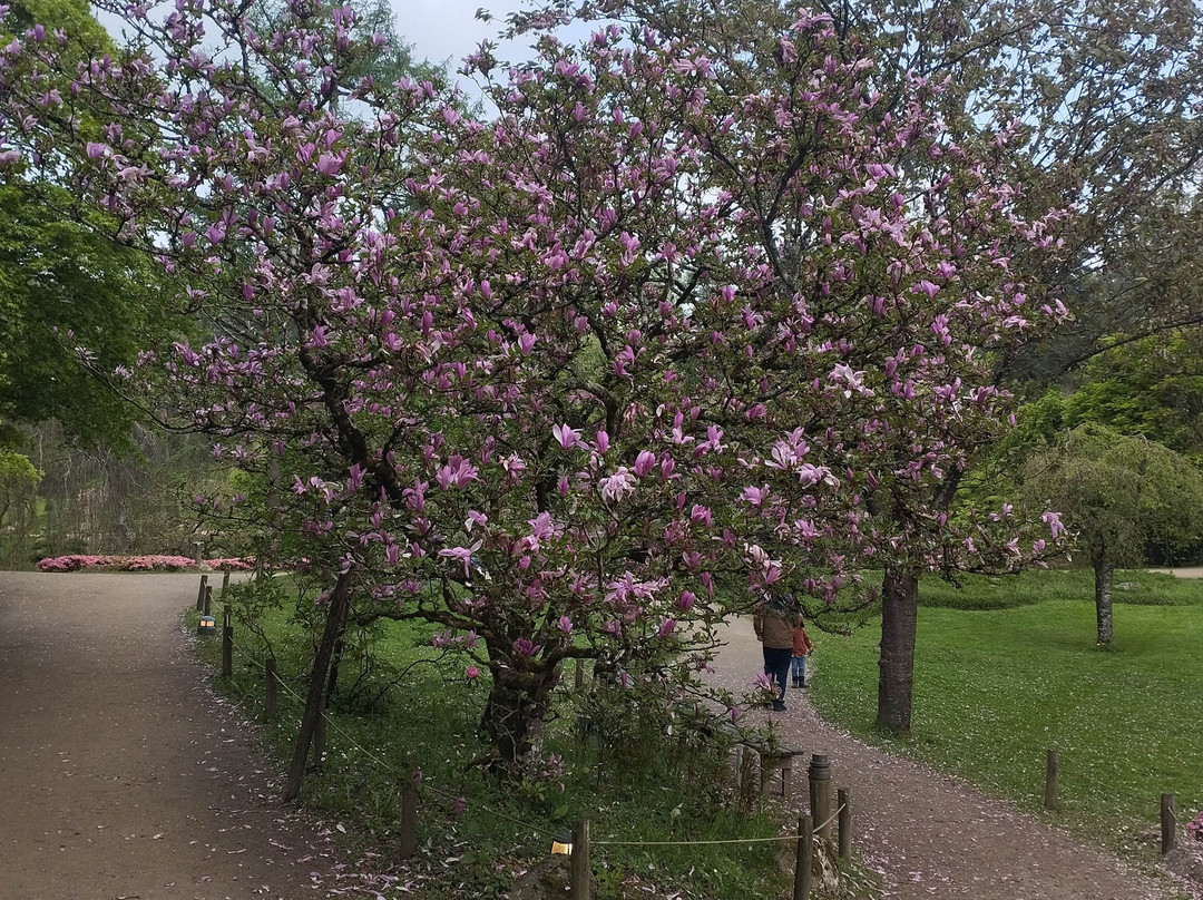 Parc Oriental de Maulevrier景点图片