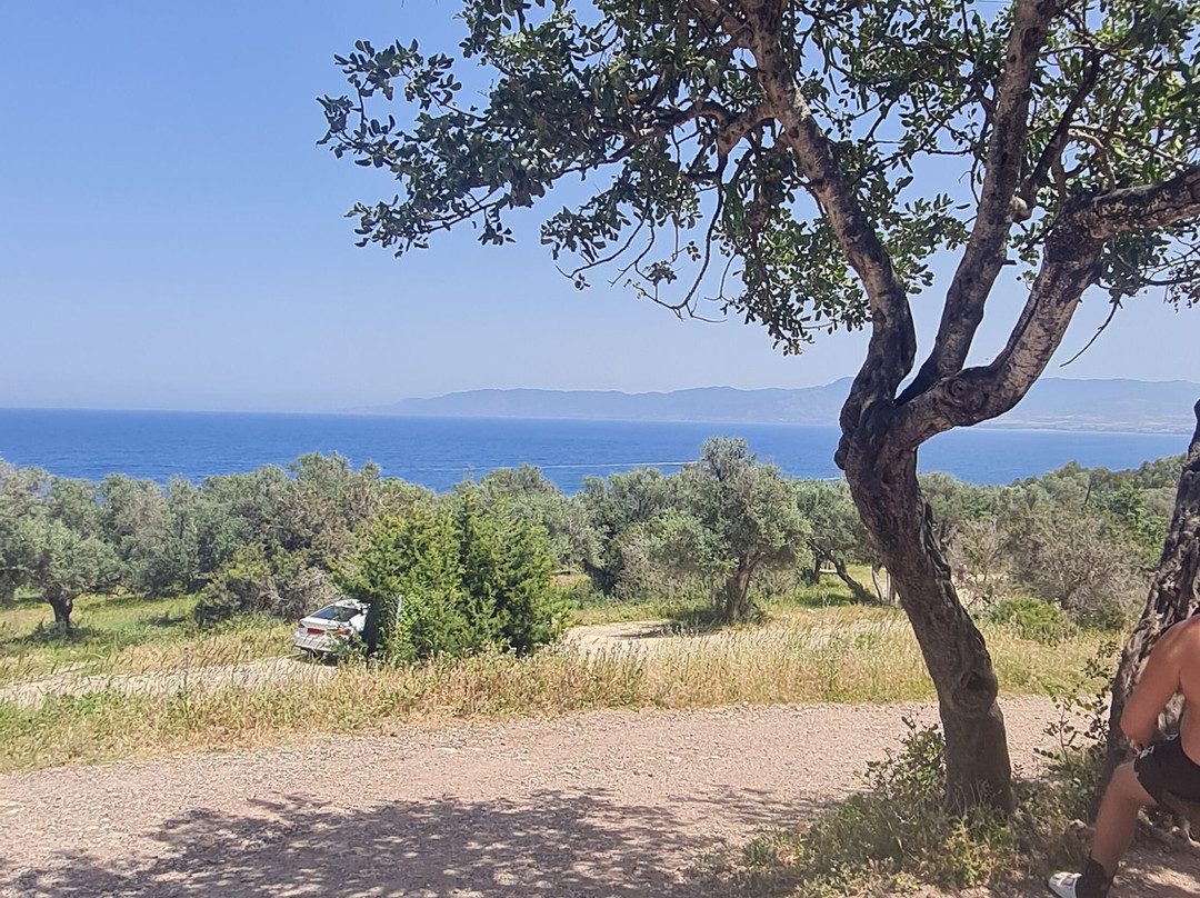 Blue Lagoon-帕福斯区必去景点