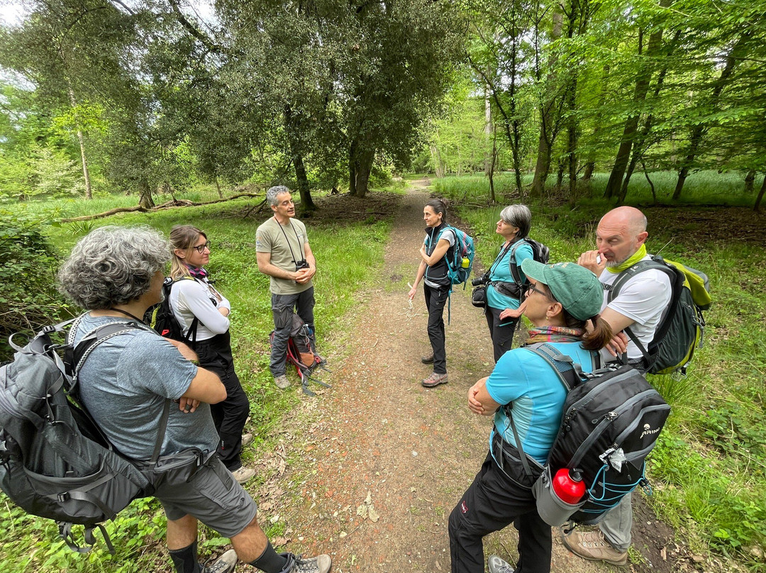 Parco Regionale Migliarino San Rossore Massaciuccoli景点图片