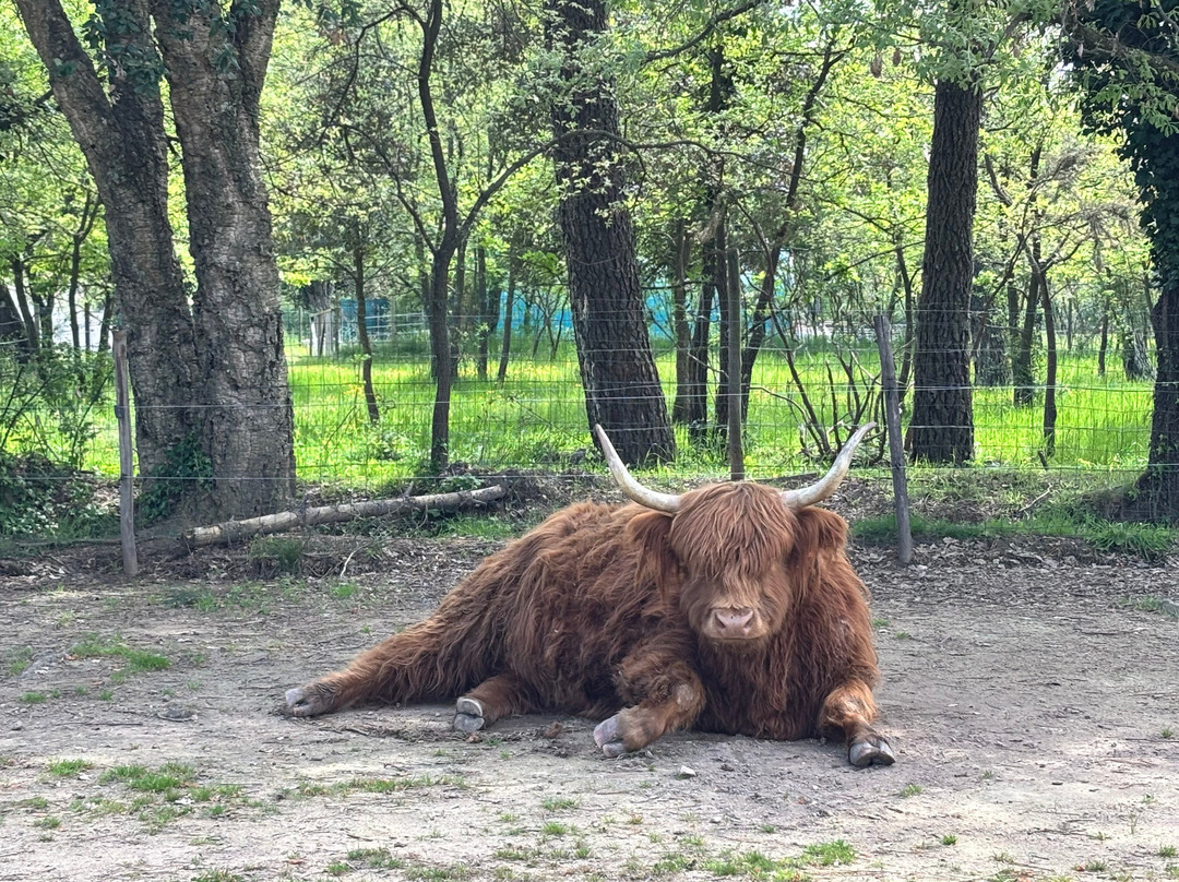 La Ferme D'idefix-Bagnols-en-Foret必去景点