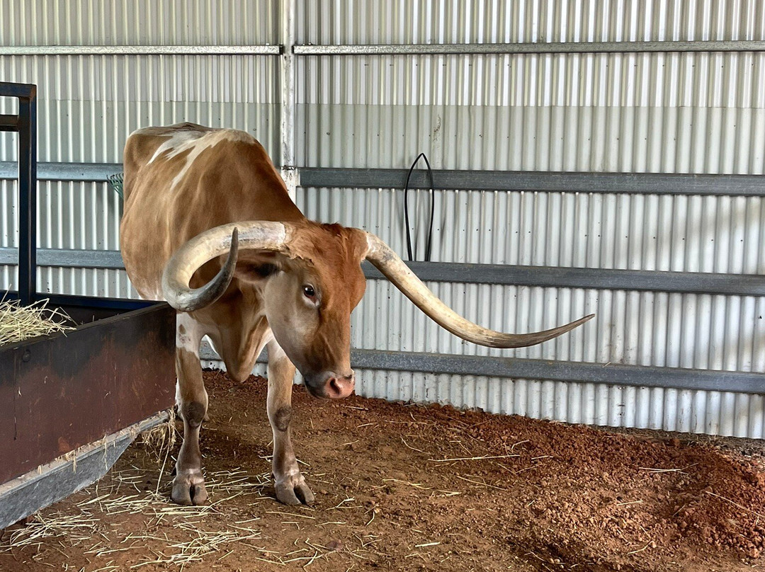 Up The Creek Garage-Roma必去景点