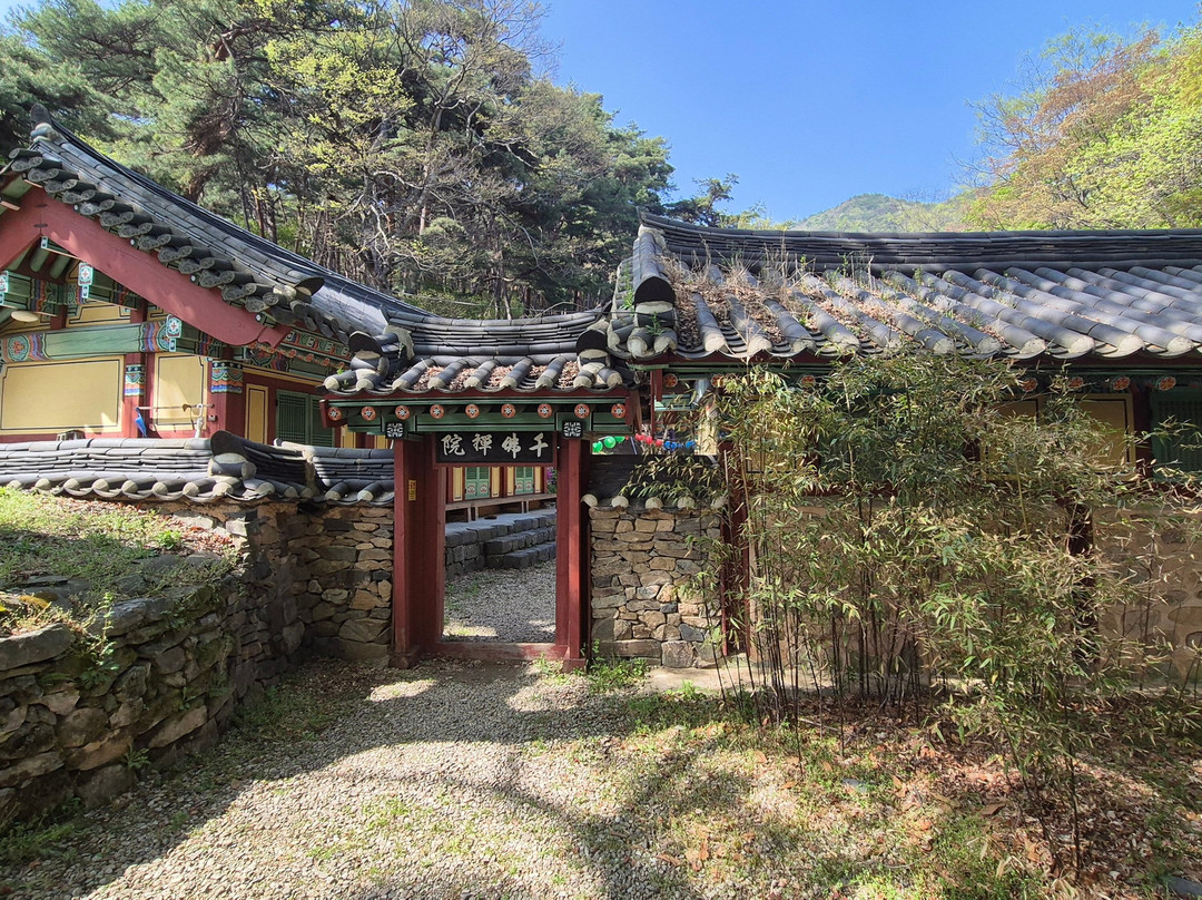 Hyangcheonsa Temple-礼山郡必去景点