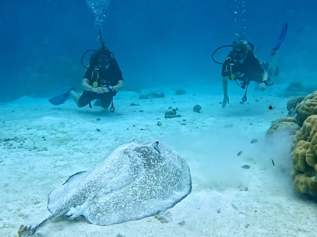 Euro-Divers Kagi-Kagi必去景点
