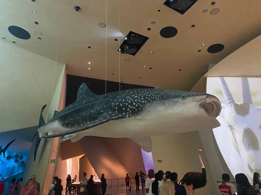 National Museum of Qatar景点图片
