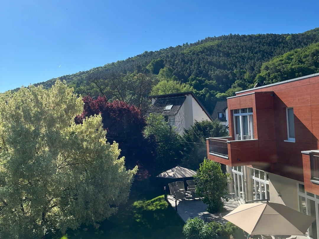 Hotel Villa Sanct Peter主图