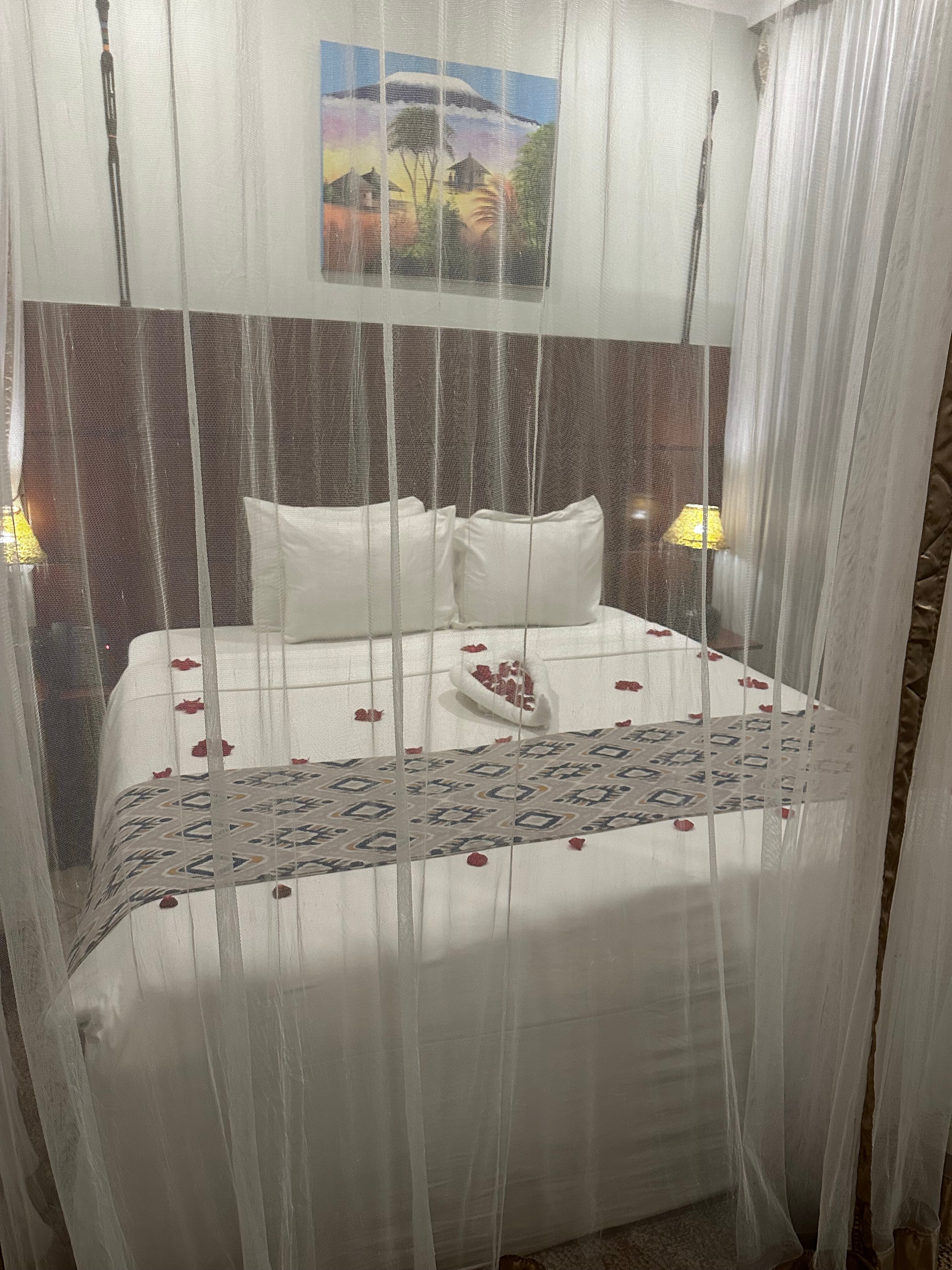 Arusha Planet Lodge-客卧