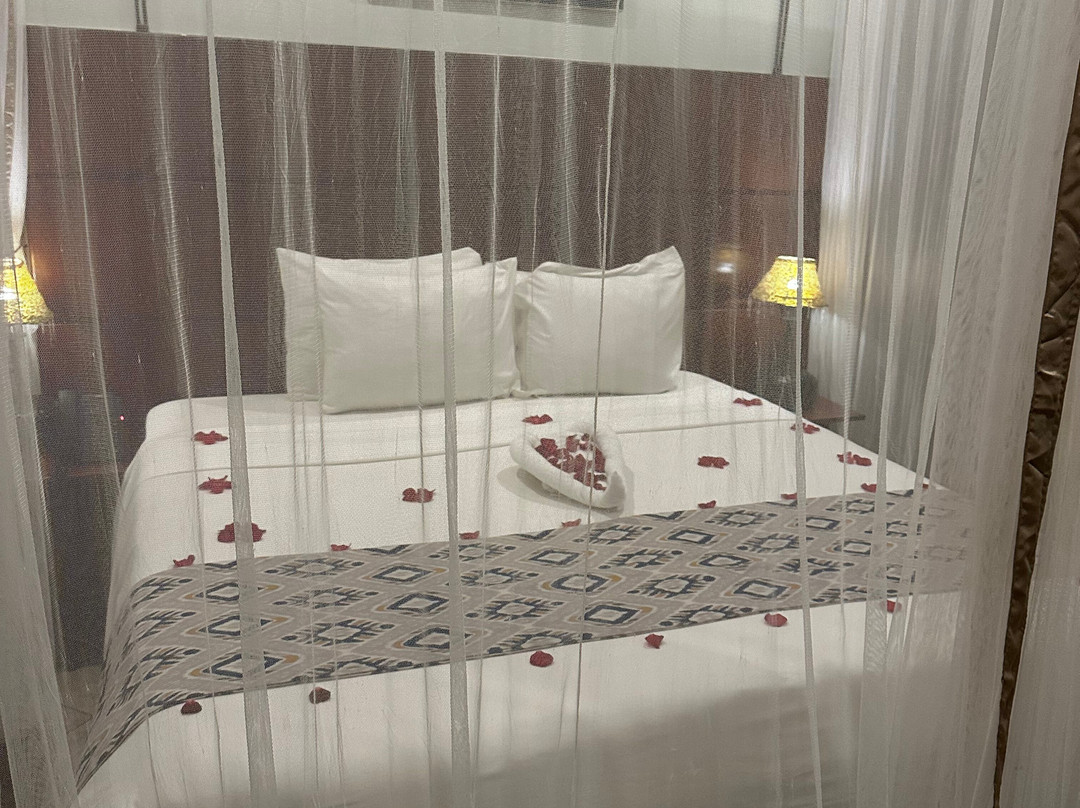 Arusha Planet Lodge主图