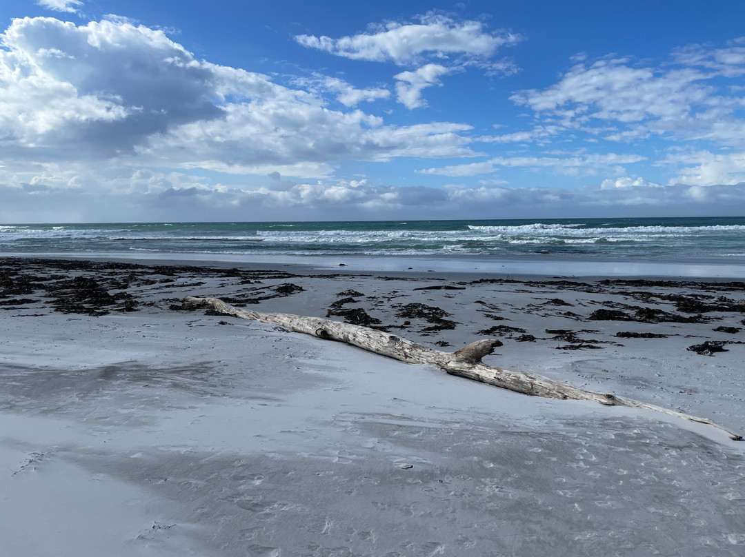 Redbill Beach-比奇诺必去景点