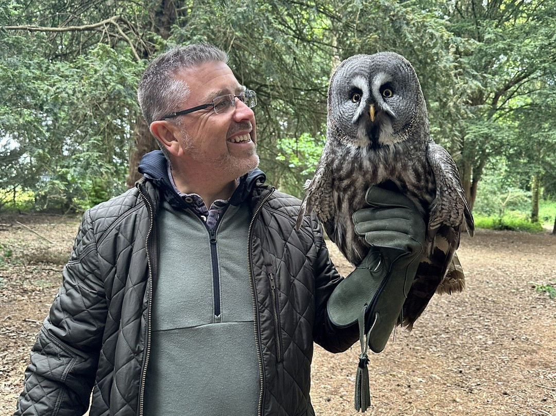 Bird of Prey Experiences - Hawkeye Falconry UK-Thoresby必去景点
