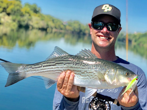 Off the Hook Fly Fishing-纳帕必去景点