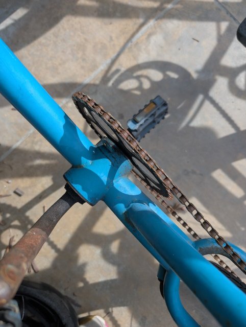 科罗纳多皇冠城旅馆-官方