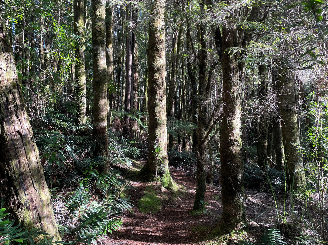 The Confluence-皇后镇必去景点