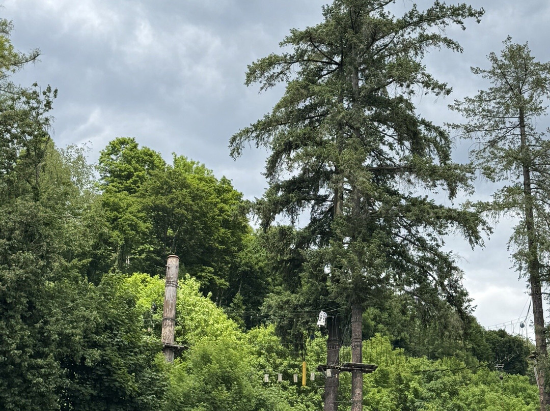 Adventure Park Rheinfall-诺伊豪森必去景点