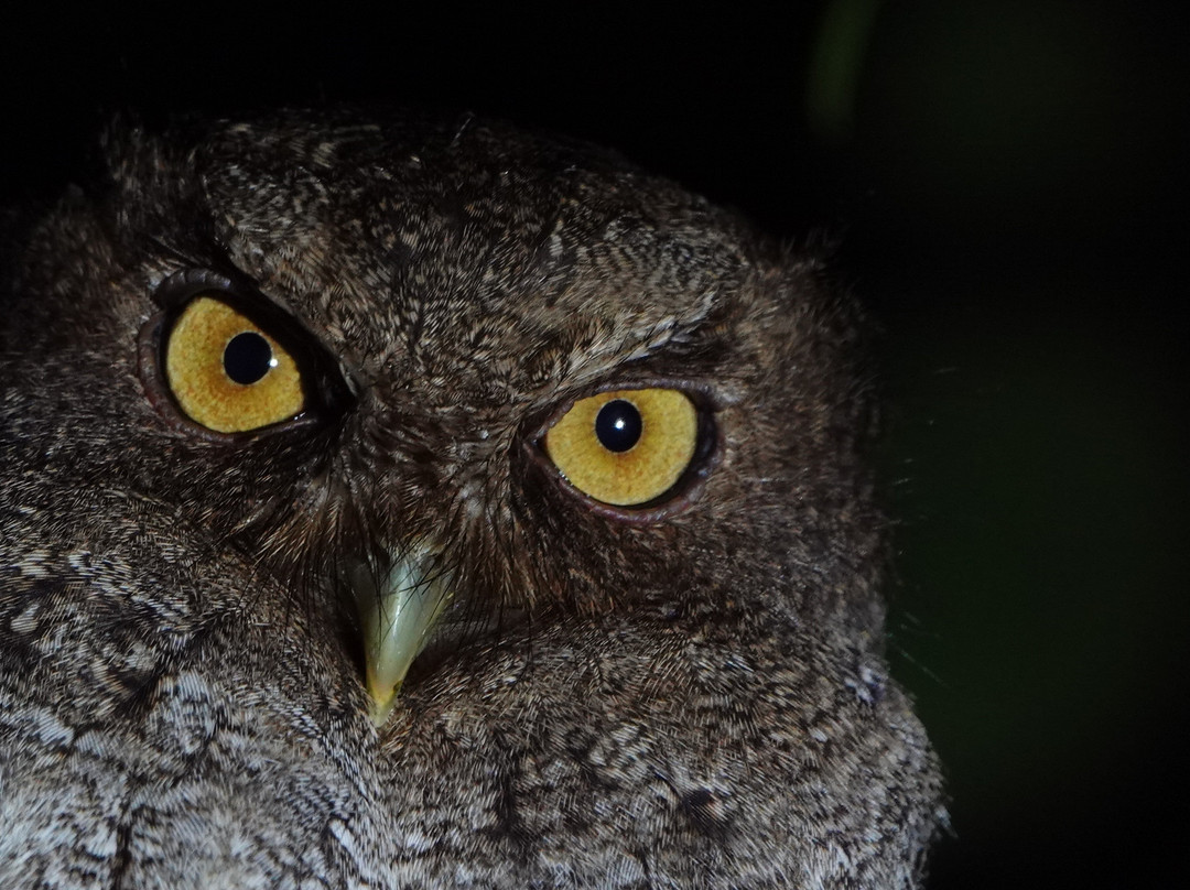 Ikam Expeditions-Moyobamba必去景点