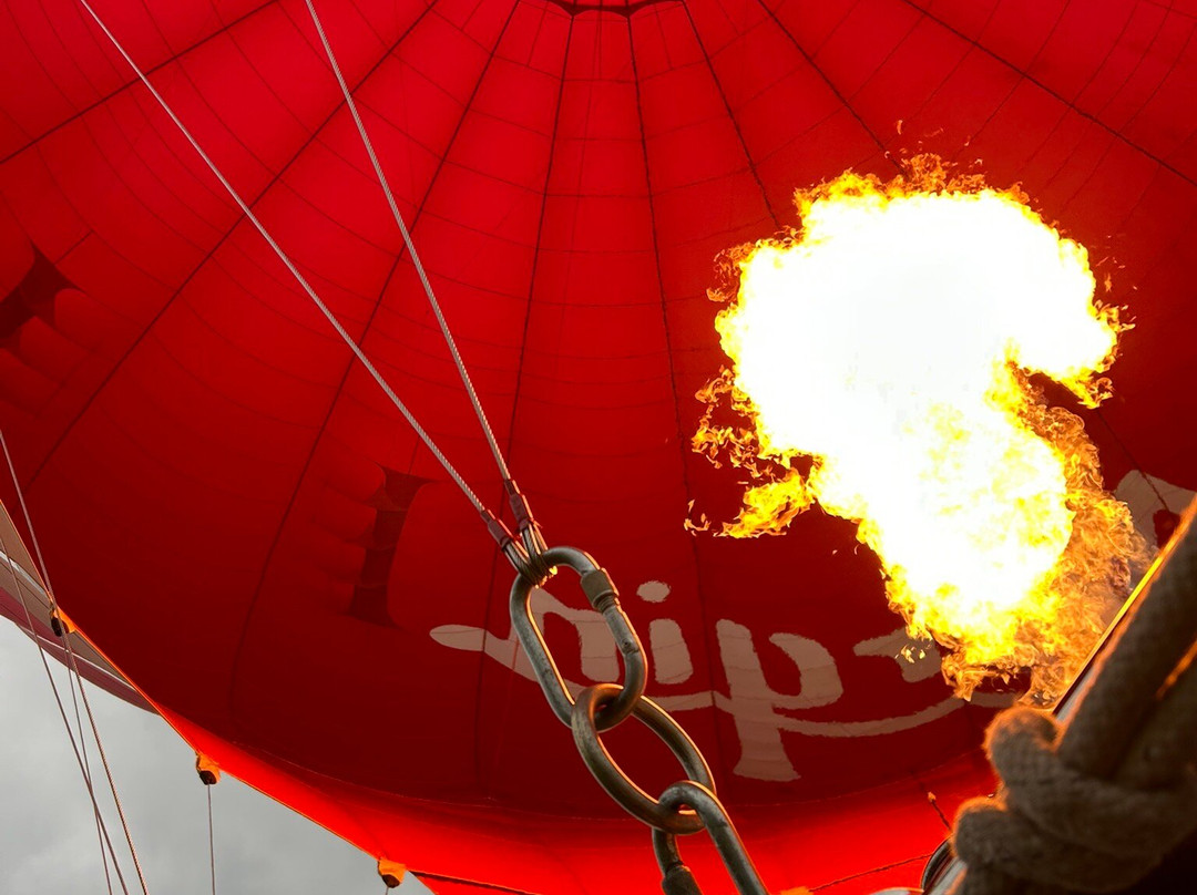 Virgin Balloon Flights - Swindon, Lydiard Park-斯温顿必去景点