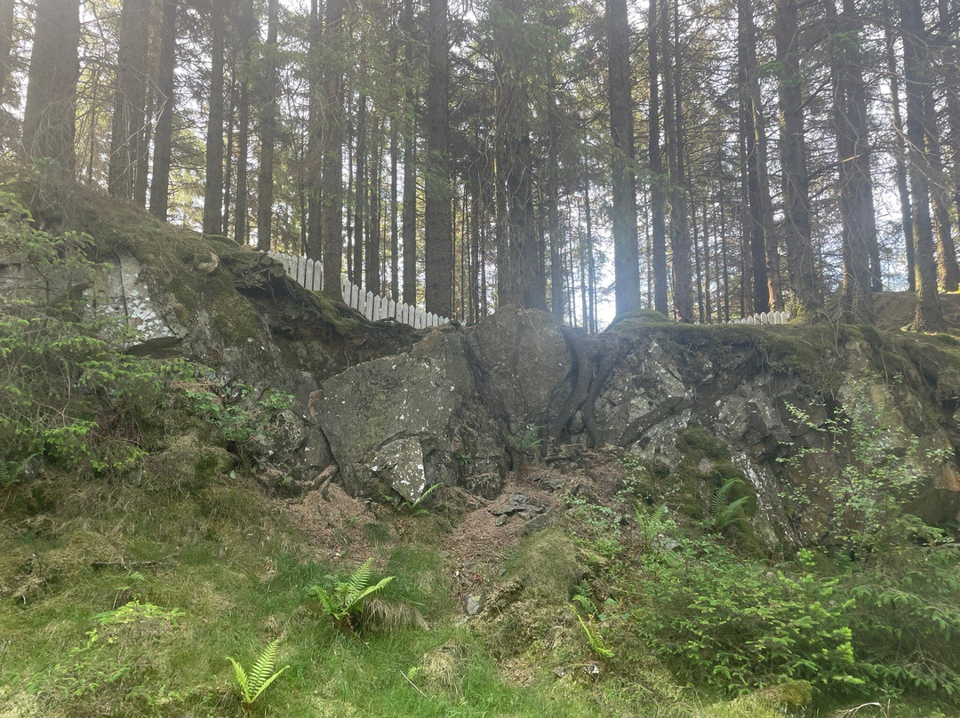 Grizedale Forest-Hawkshead必去景点