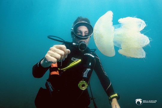 Pousada Beach Bahia主图