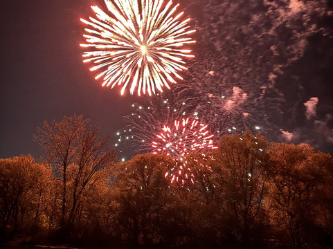 Gone Sailing Adventures-多伦多必去景点