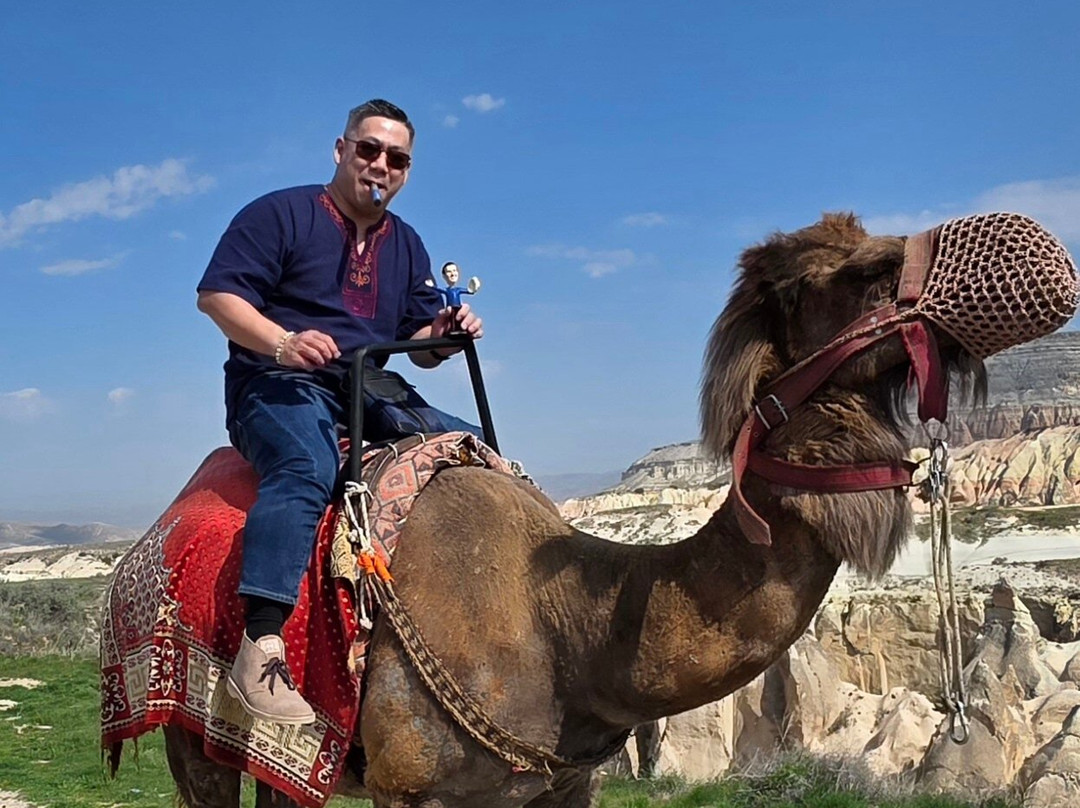 Savran Camel Safari-奥塔西萨必去景点