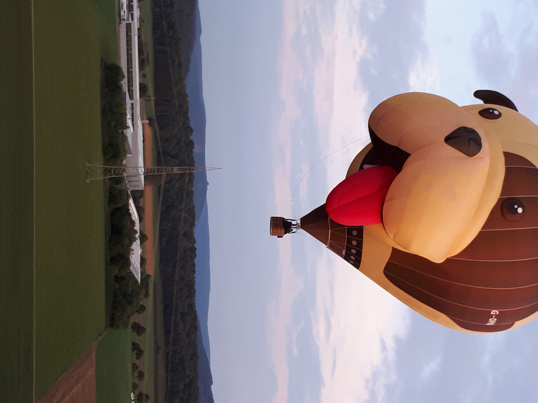 Warsteiner internationale Montgolfiade景点图片