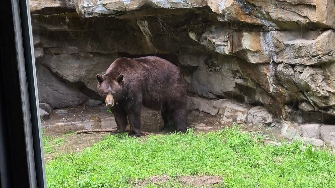 Lake Superior Zoo-德卢斯必去景点