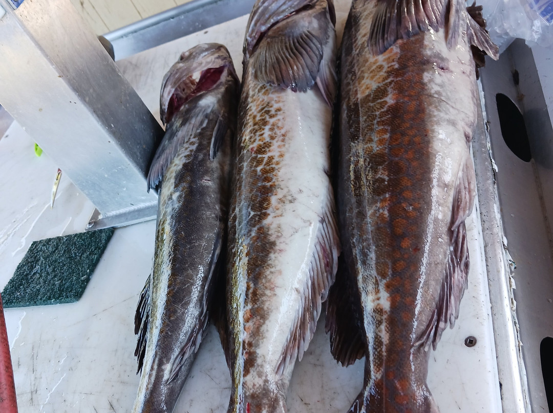 Andrew's West Coast Adventures-纳奈莫必去景点