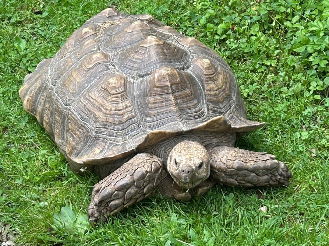 Oglebay Good Zoo-Wheeling必去景点
