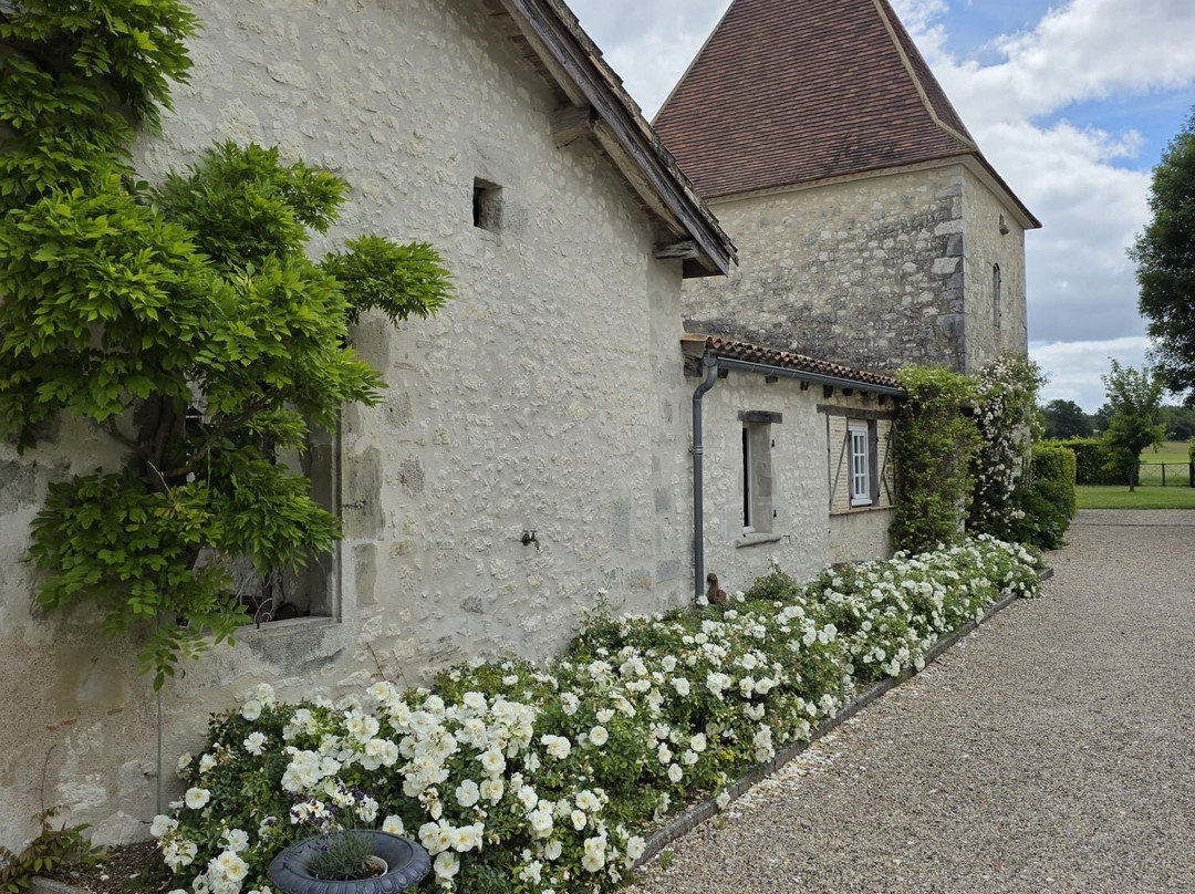 Chateau de St Paul主图