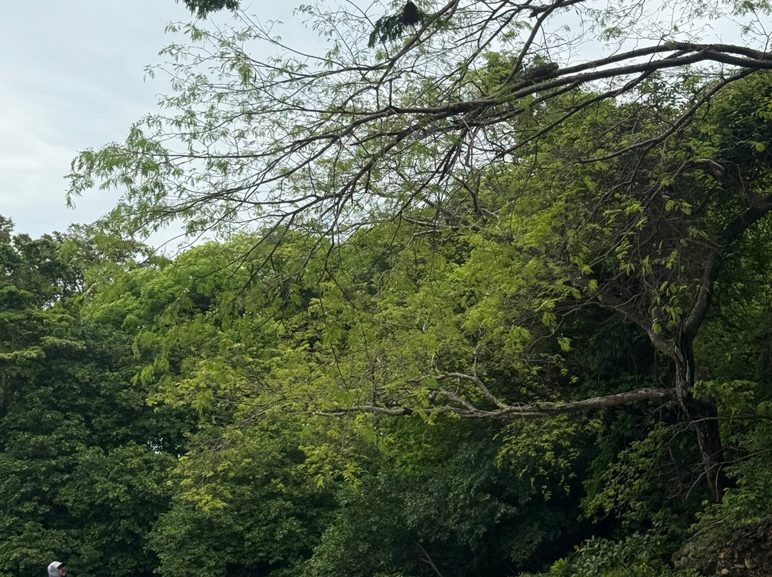 NexusTours景点图片