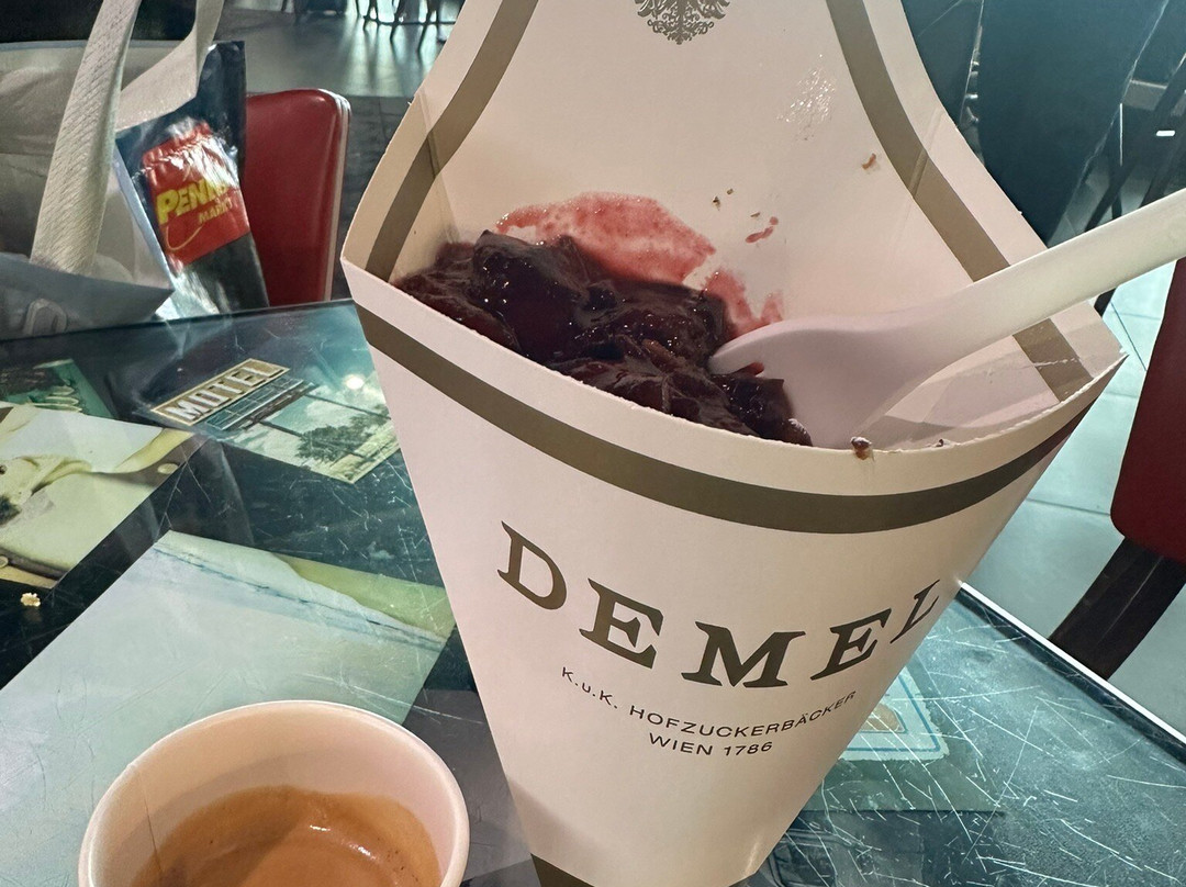Vienna Airport Cab-维也纳必去景点