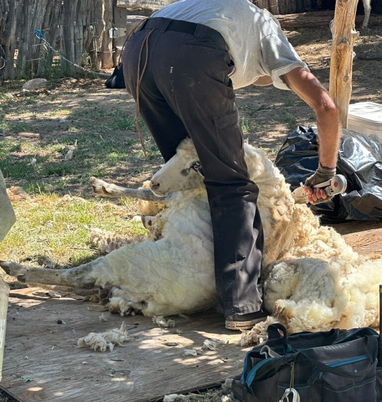 El Rancho de las Golondrinas景点图片