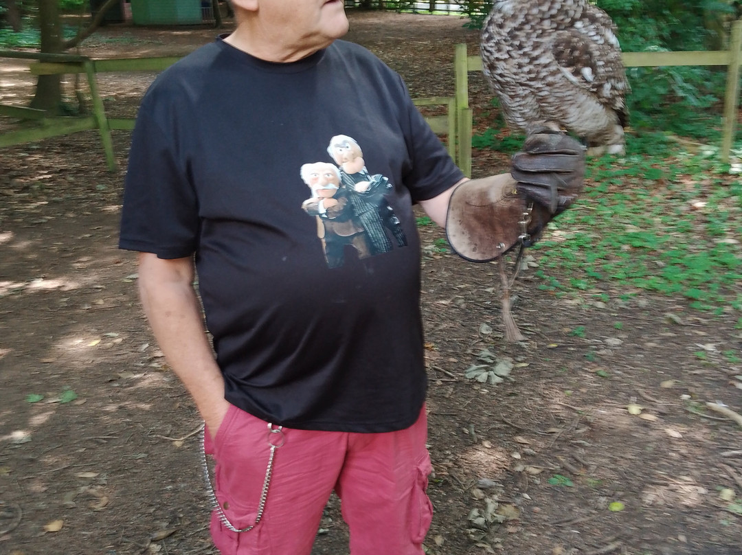 Willows Bird of Prey & Wildlife Trail景点图片