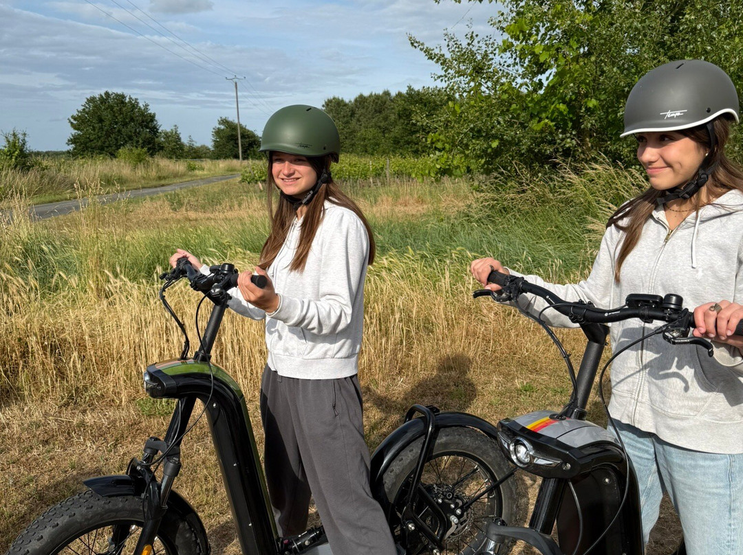 O Coeur des Vignes-Coteaux-sur-Loire必去景点