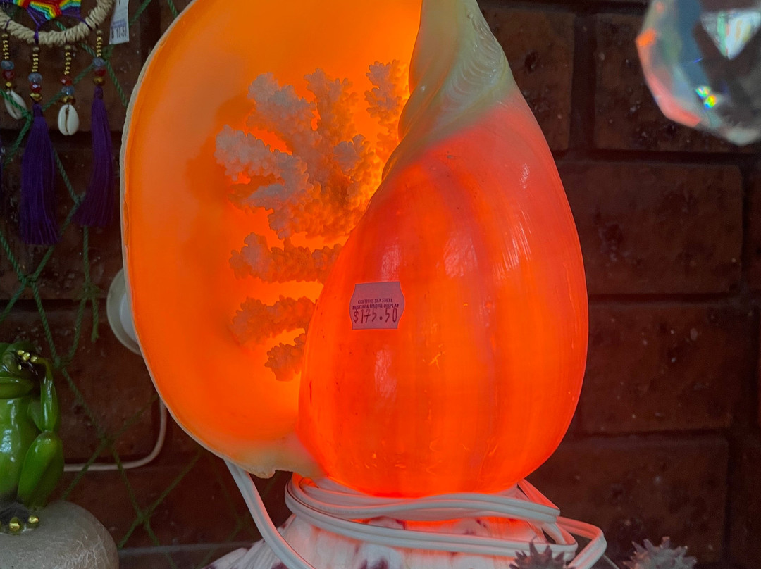 Griffiths' Sea Shell Museum & Marine Display-莱克斯恩特伦斯必去景点