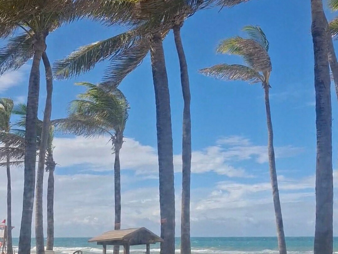 Oceani Beach Park Hotel主图