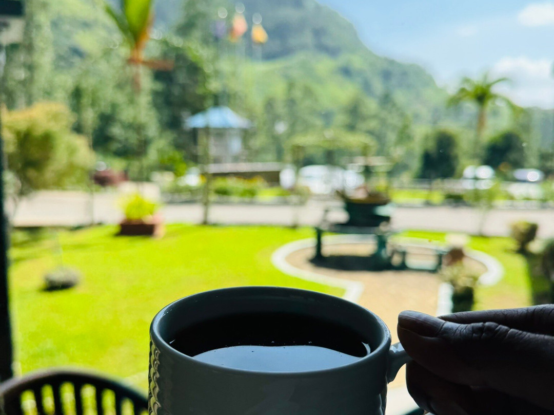 Ravi Taxi And Tours-丹布拉必去景点