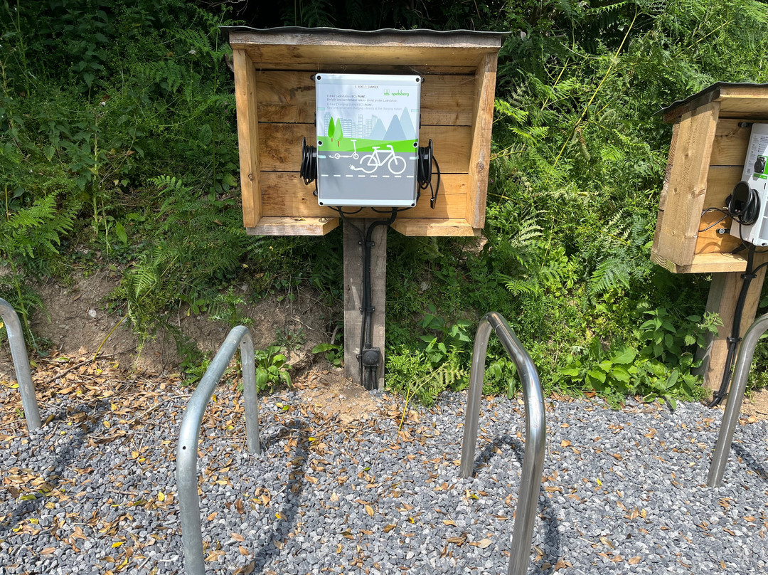 Welsh Wildlife Centre-Cardigan必去景点