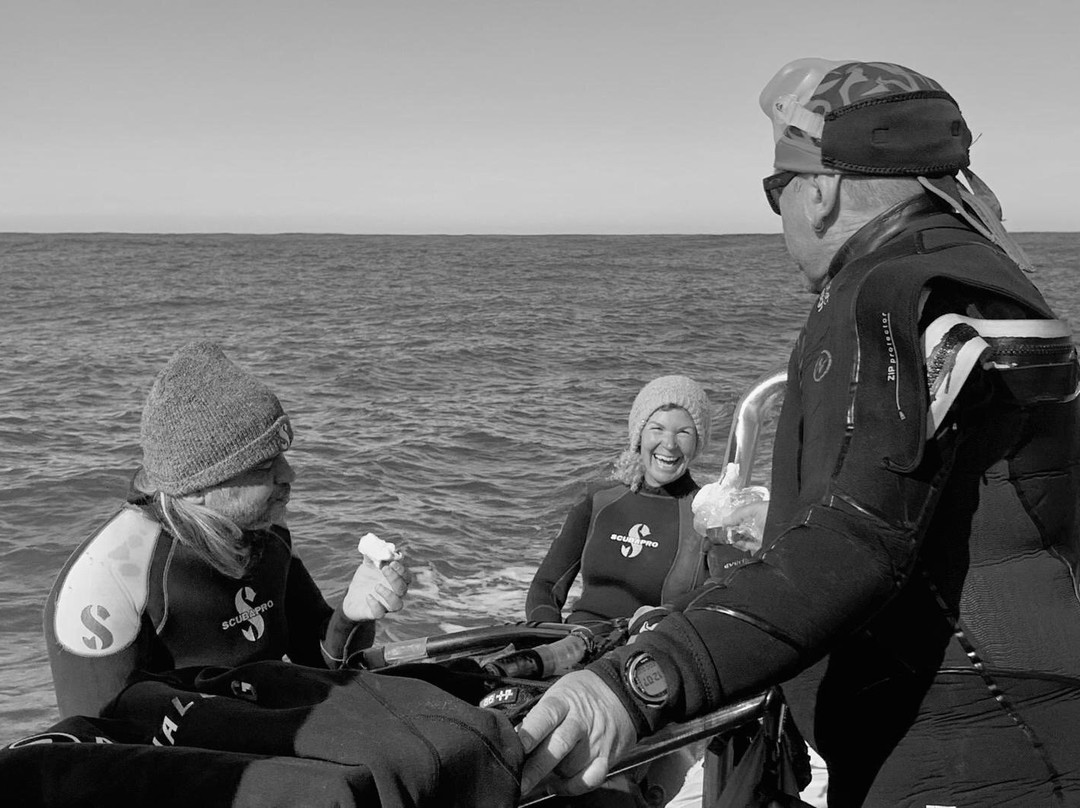 Agulhas House and Diving主图