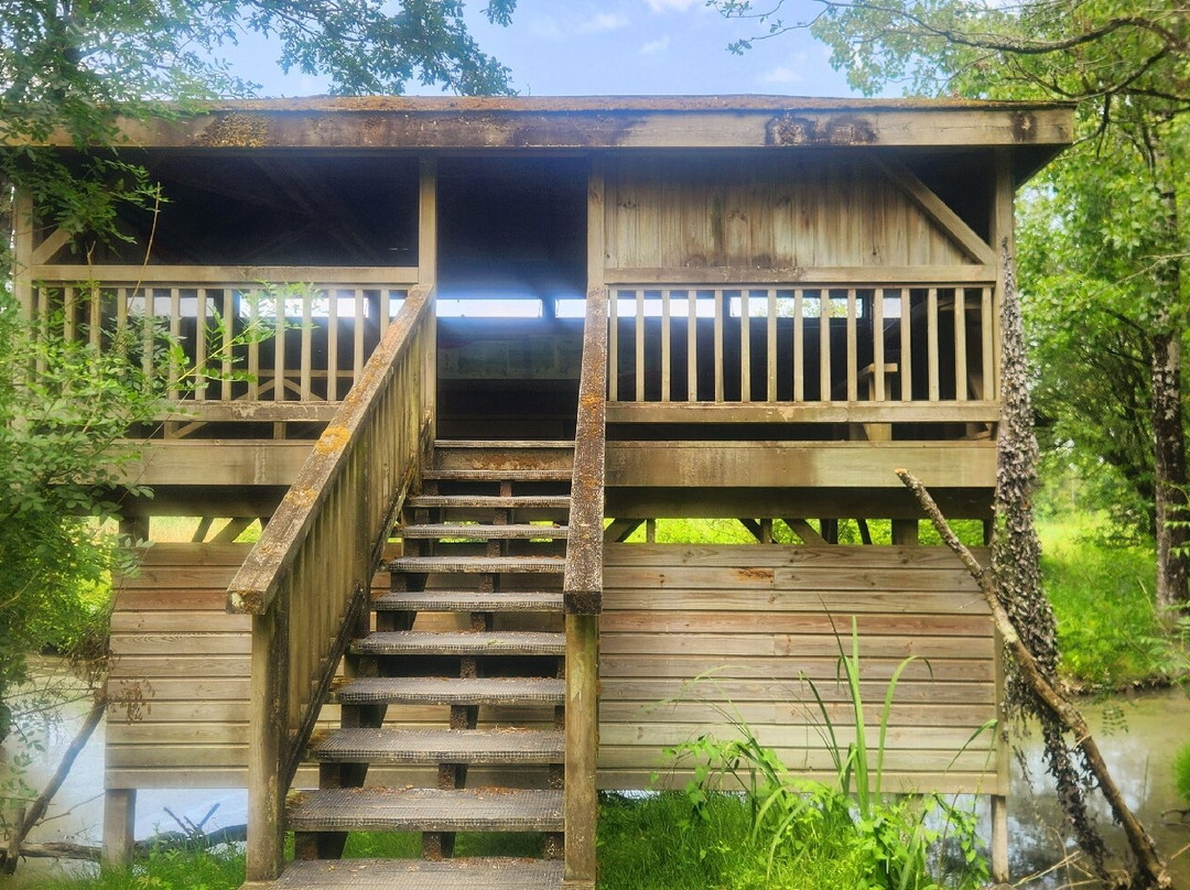 Réserve des Huttes-Nalliers必去景点