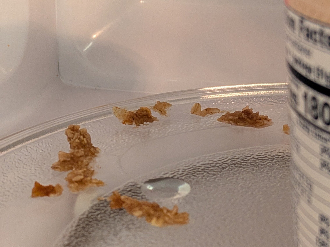 The Water Street Inn主图