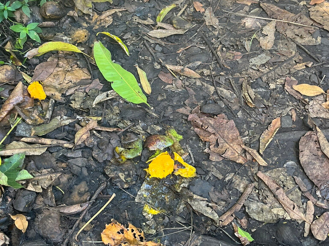 皮皮崴小径-哈莱亚卡拉国家公园必去景点