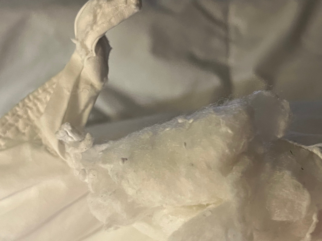 La Quinta Inn & Suites by Wyndham Knoxville North I-75主图