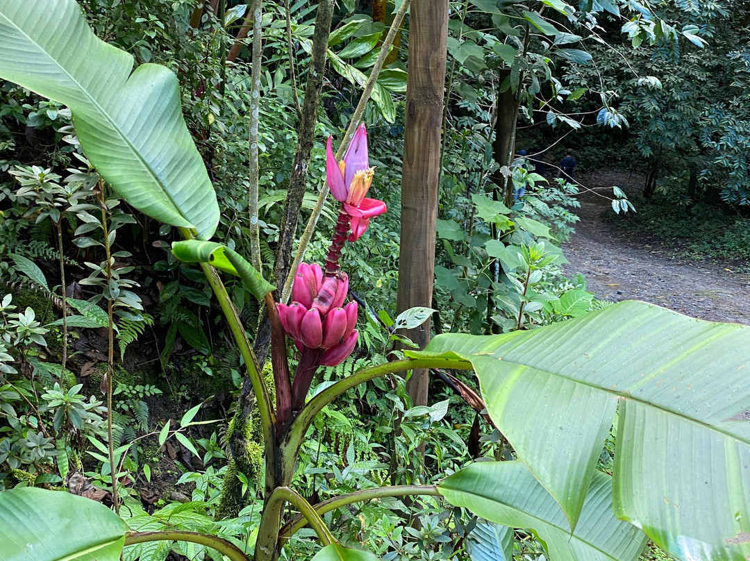 Sierraventur Travel-圣玛尔塔必去景点